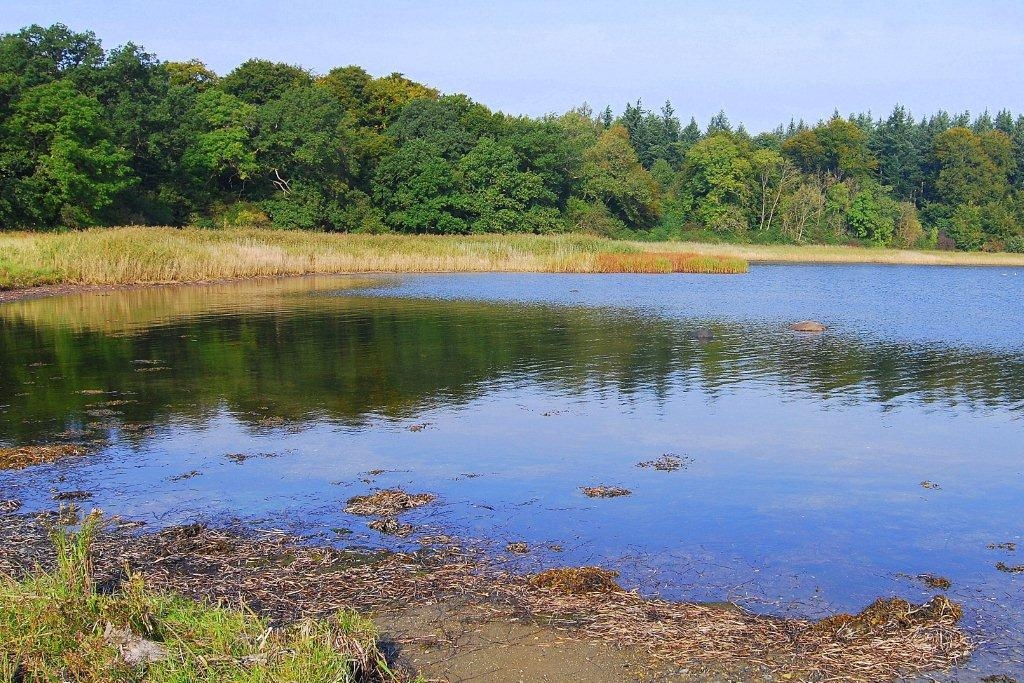 Eriksholm Skov